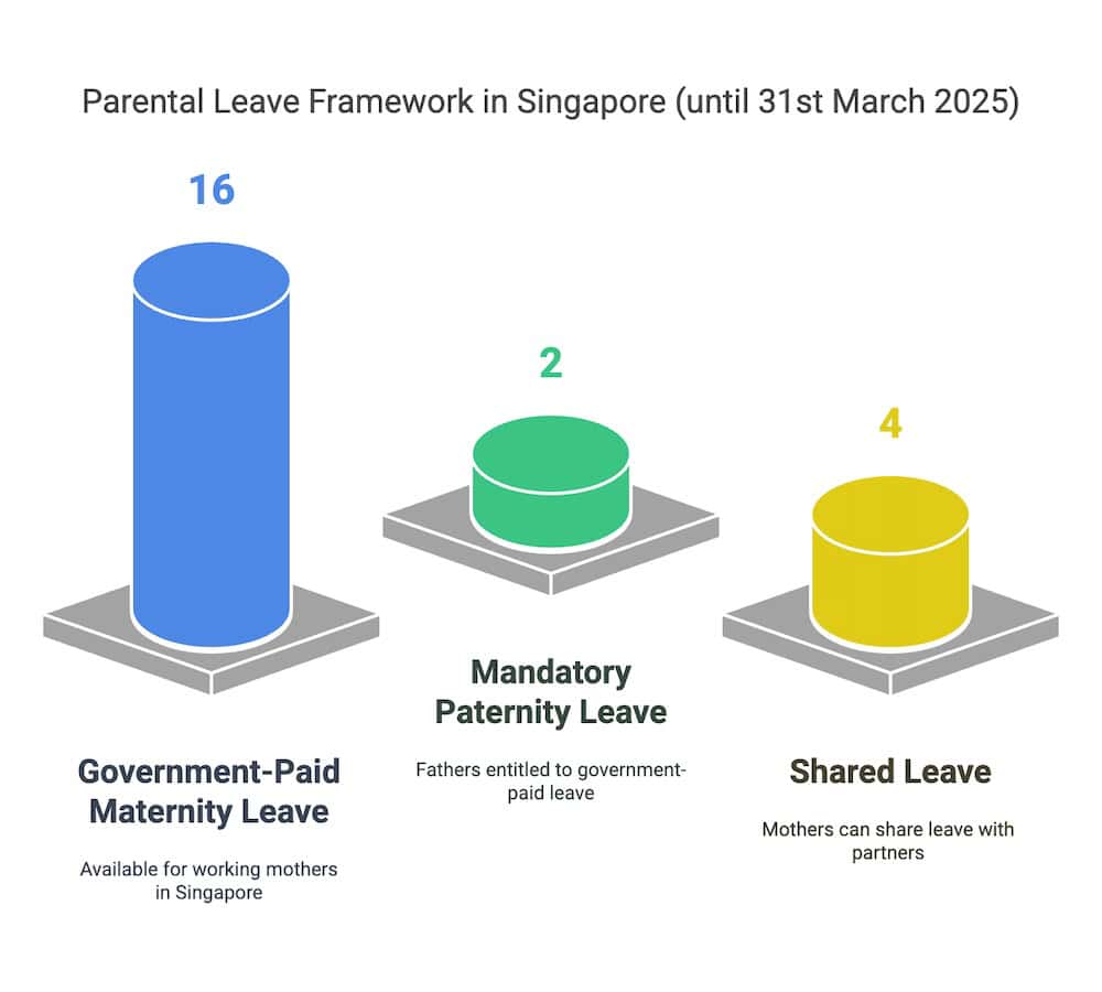 Current parental leave from framework (until 31 March 2025)