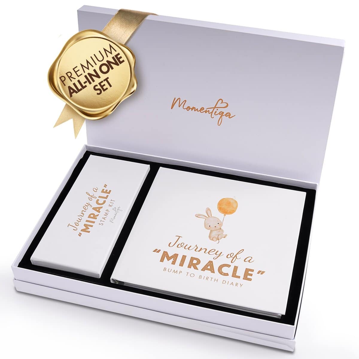 Momentiqa Bump to Birth Set