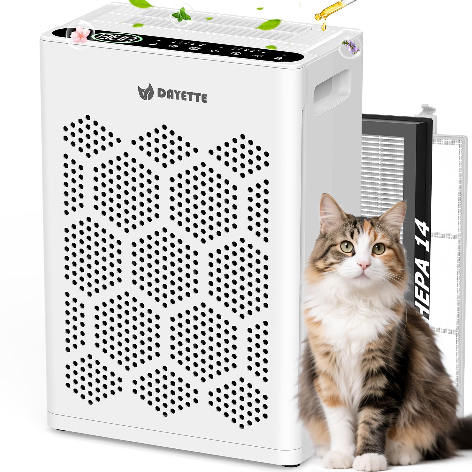 Dayette Purifier